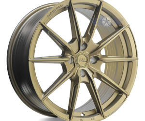 RINES 17 FBX7 FW005